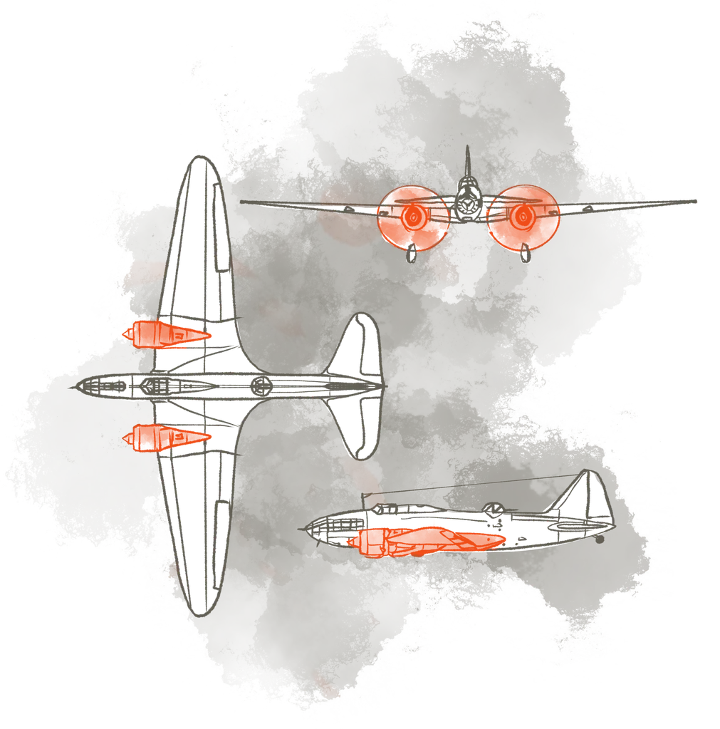 Дерзкий полет