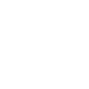 логотип АНО 'Интернет без угроз'