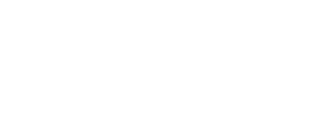 логотип НЦПТИ в белом цвете